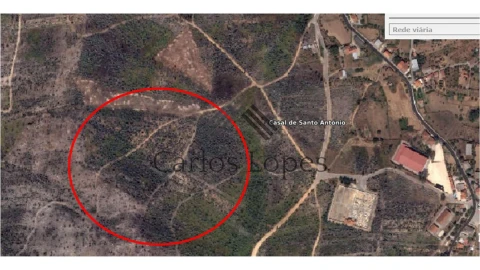 Terreno para Venda em Figueiró dos Vinhos e Bairradas