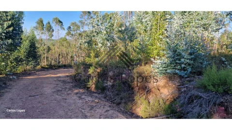 Terreno para Venda em Figueiró dos Vinhos e Bairradas