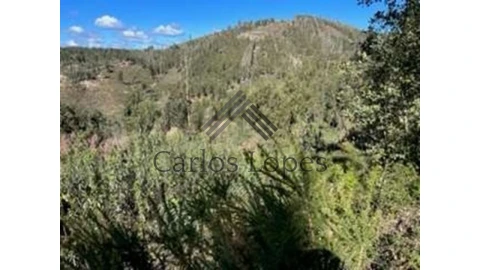 Terreno para Venda em Figueiró dos Vinhos e Bairradas