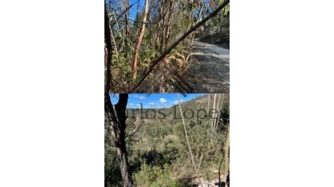 Terreno para Venda em Figueiró dos Vinhos e Bairradas