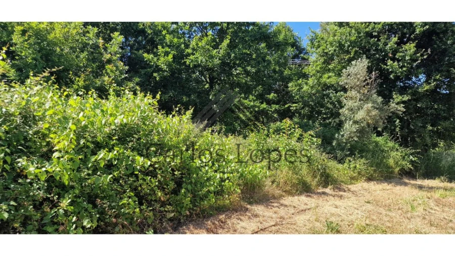 Terreno para Venda em Figueiró dos Vinhos e Bairradas