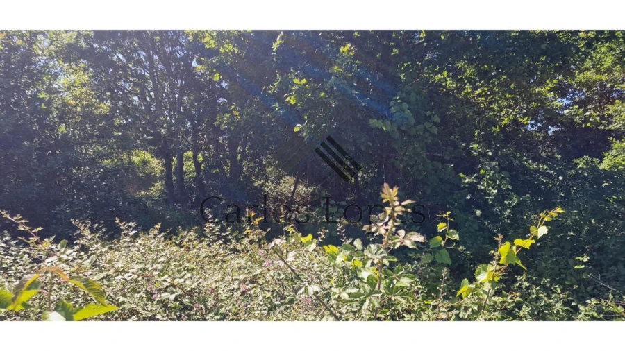 Terreno para Venda em Figueiró dos Vinhos e Bairradas Foto 2