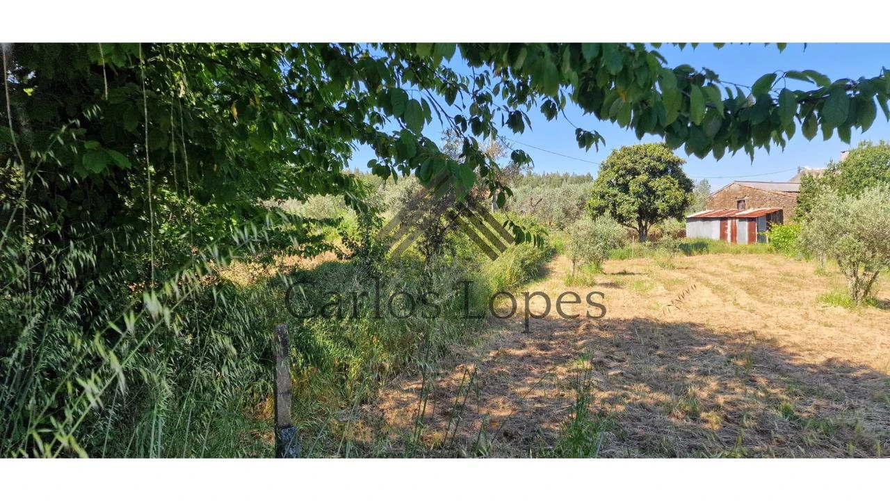 Terreno para Venda em Figueiró dos Vinhos e Bairradas Foto 1