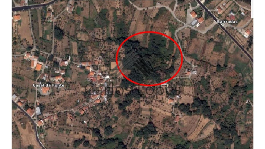 Terreno para Venda em Figueiró dos Vinhos e Bairradas Foto 1