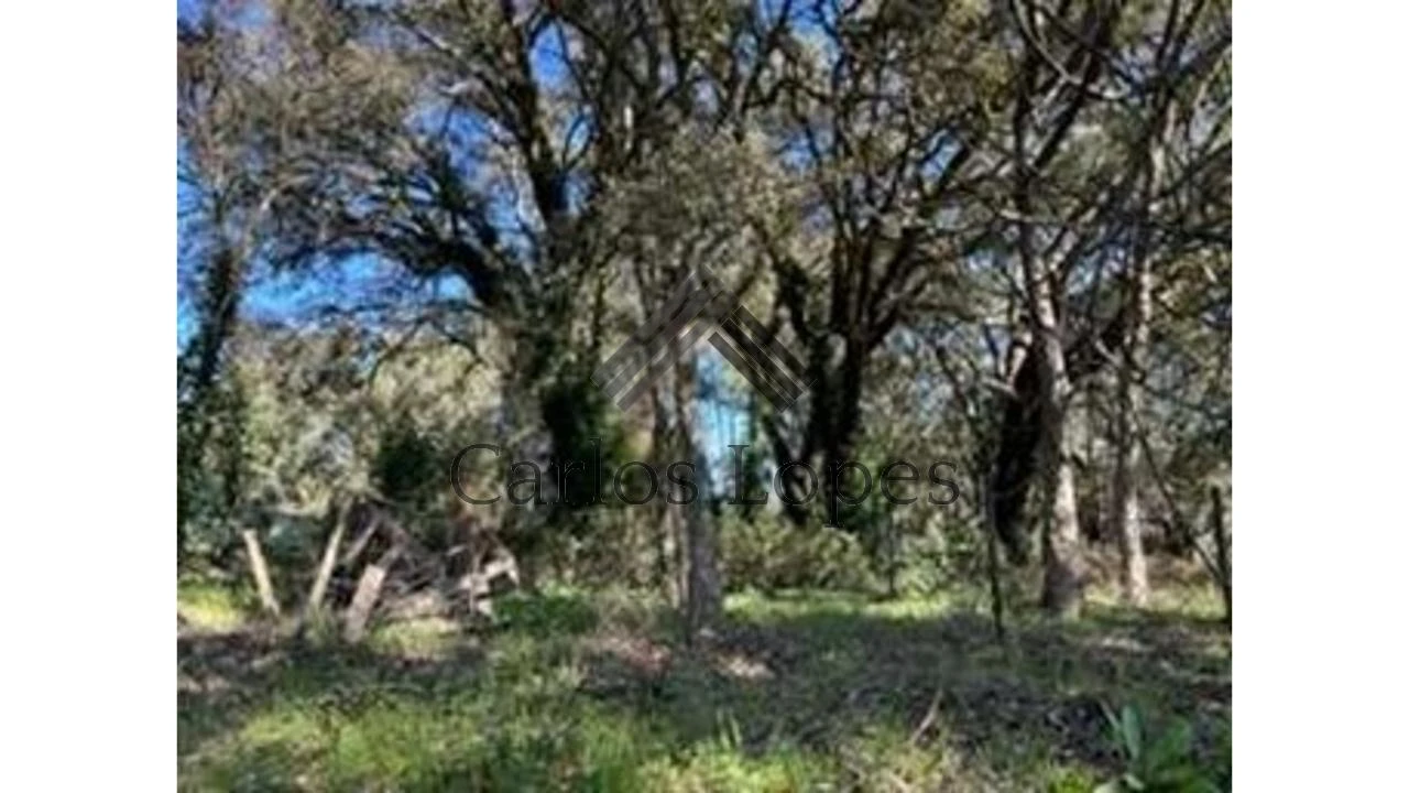 Terreno para Venda em Figueiró dos Vinhos e Bairradas Foto 2