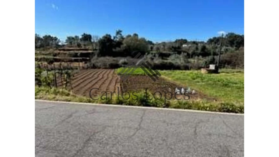 Terreno para Venda em Figueiró dos Vinhos e Bairradas Foto 2