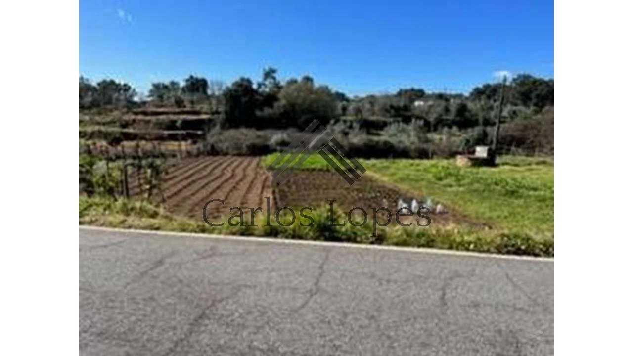 Terreno para Venda em Figueiró dos Vinhos e Bairradas Foto 2