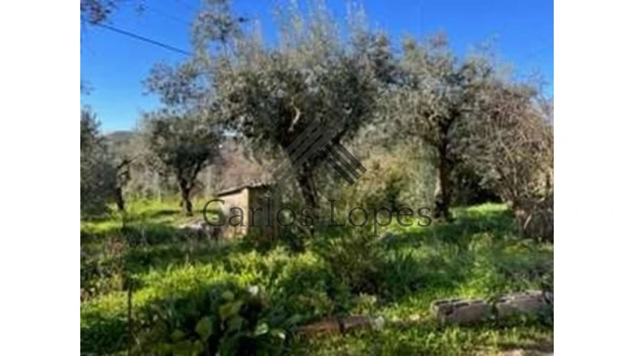 Terreno para Venda em Figueiró dos Vinhos e Bairradas Foto 2