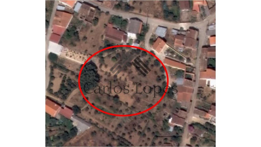 Terreno para Venda em Figueiró dos Vinhos e Bairradas Foto 3