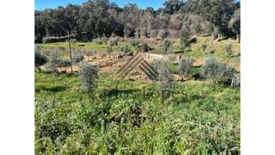 Terreno para Venda em Figueiró dos Vinhos e Bairradas