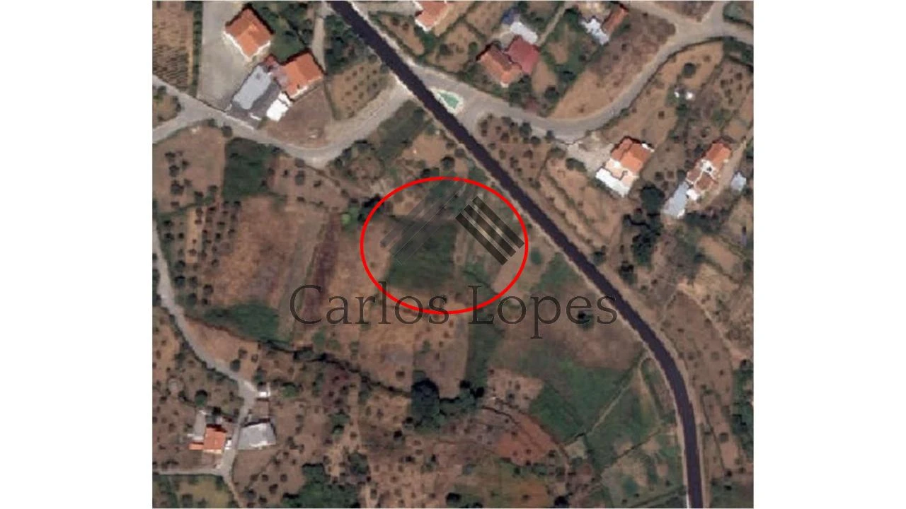 Terreno para Venda em Figueiró dos Vinhos e Bairradas Foto 2