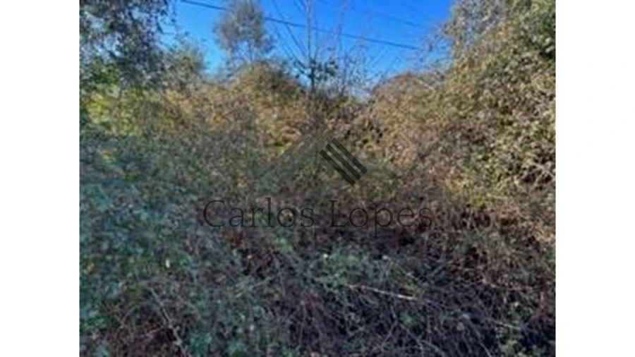 Terreno para Venda em Figueiró dos Vinhos e Bairradas