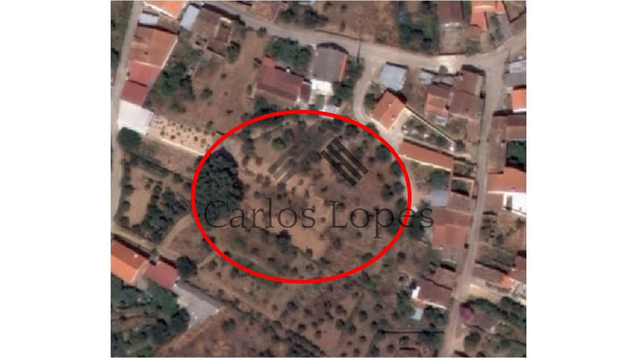 Terreno para Venda em Figueiró dos Vinhos e Bairradas Foto 3