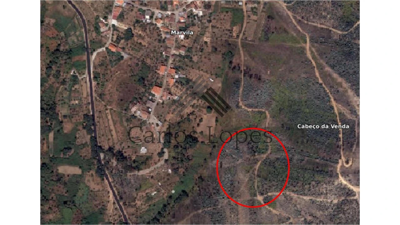 Terreno para Venda em Figueiró dos Vinhos e Bairradas Foto 2