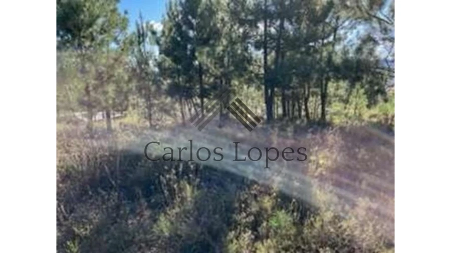 Terreno para Venda em Figueiró dos Vinhos e Bairradas