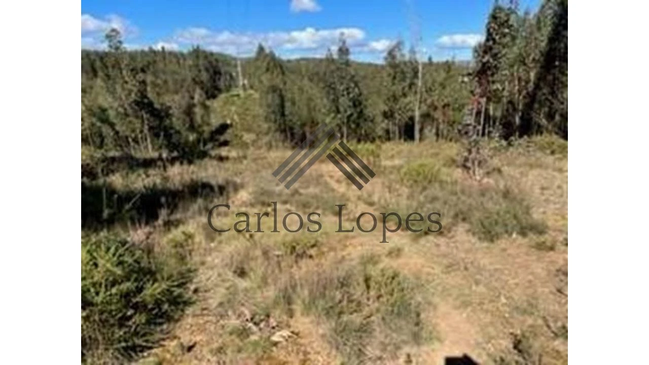 Terreno para Venda em Figueiró dos Vinhos e Bairradas Foto 1