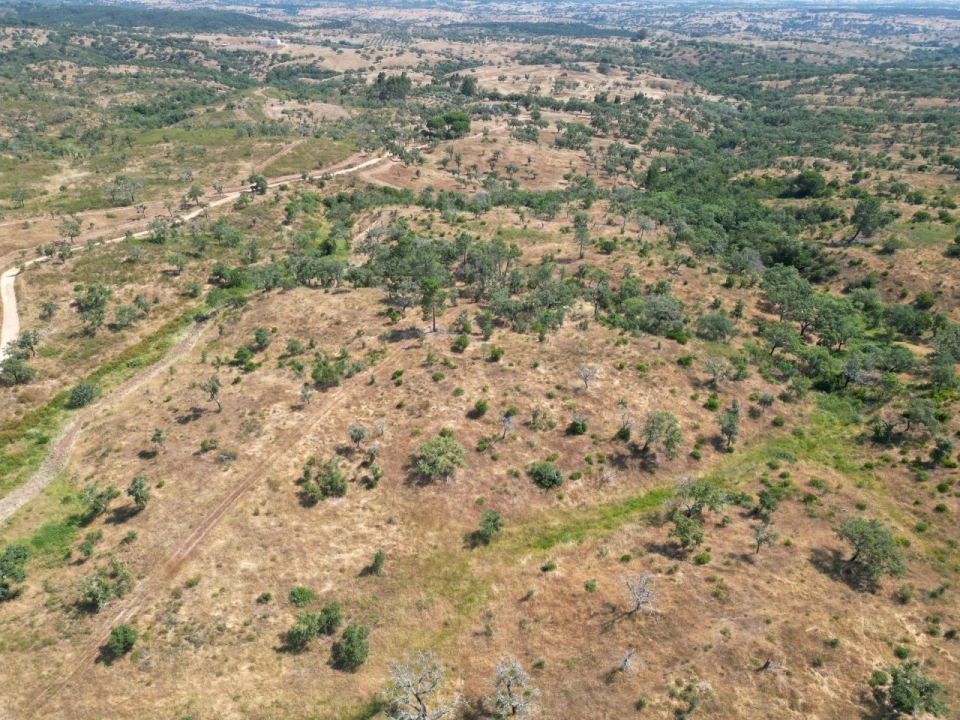 Terreno para Venda em Abela Foto 19