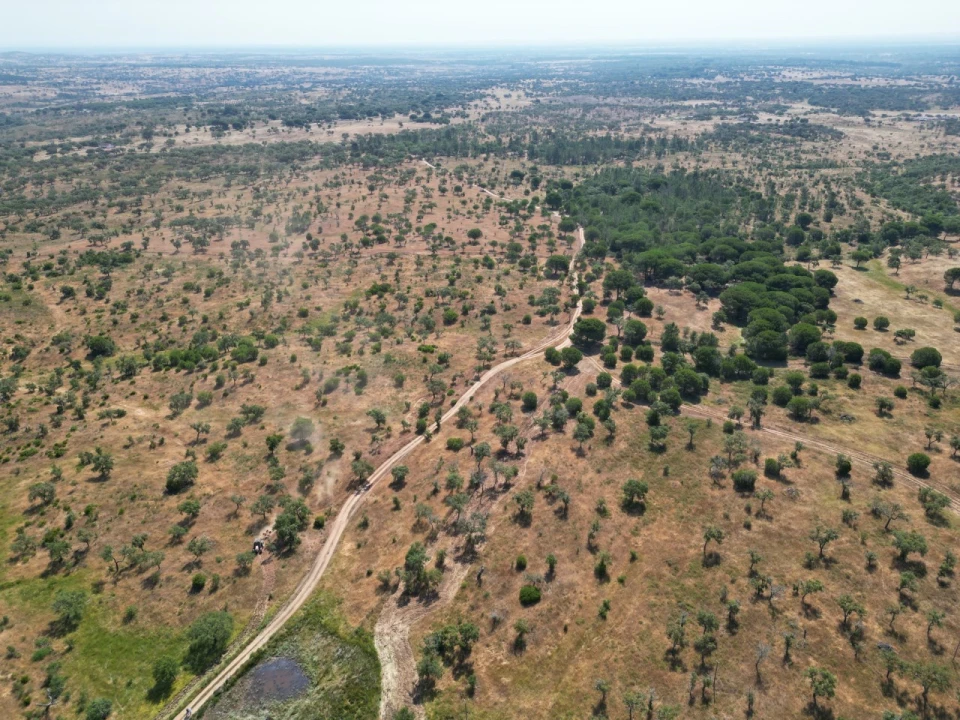 Terreno para Venda em Abela Foto 21