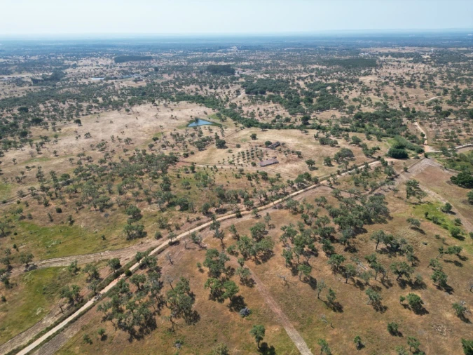 Terreno para Venda em Abela Foto 25