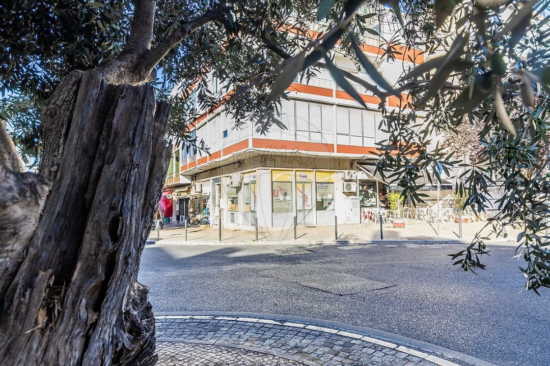 Loja para Venda em Águas Livres Foto 3
