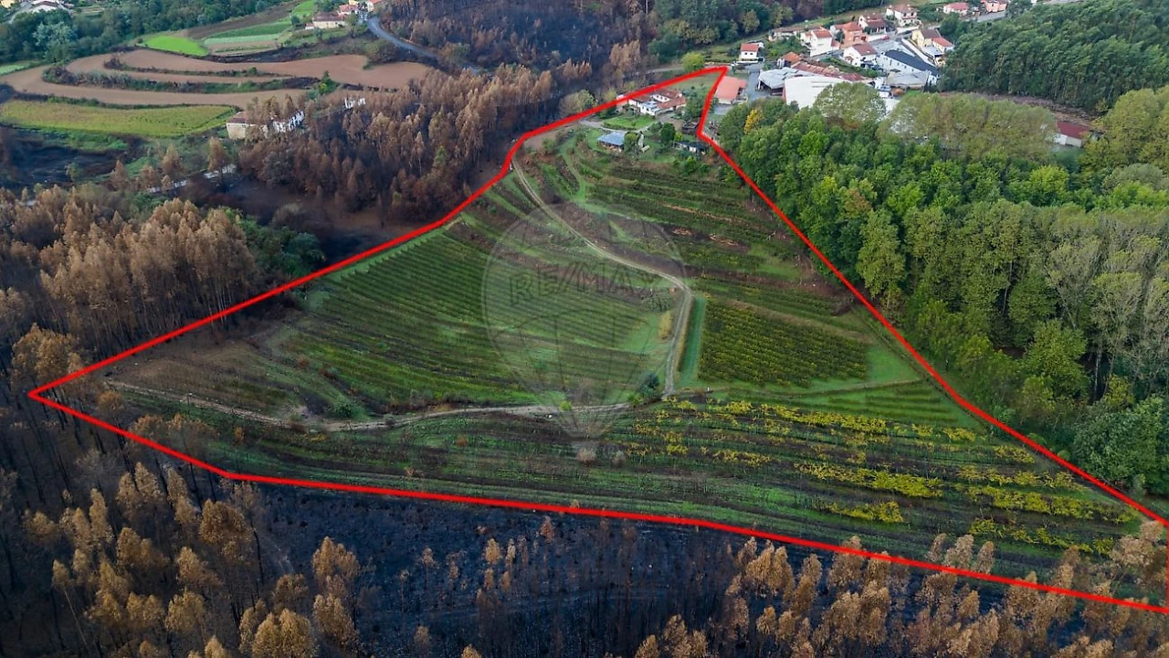 Moradia T3 para Venda em Gondomar (São Cosme), Valbom e Jovim Foto 49