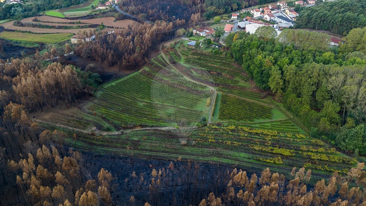 Moradia T3 para Venda em Gondomar (São Cosme), Valbom e Jovim Foto 38