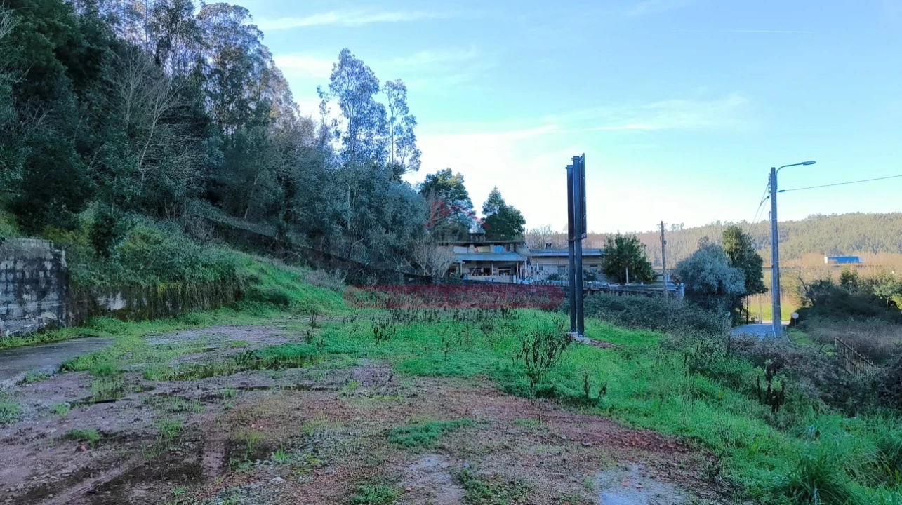 Terreno para Venda em Trofa, Segadães e Lamas do Vouga Foto 10