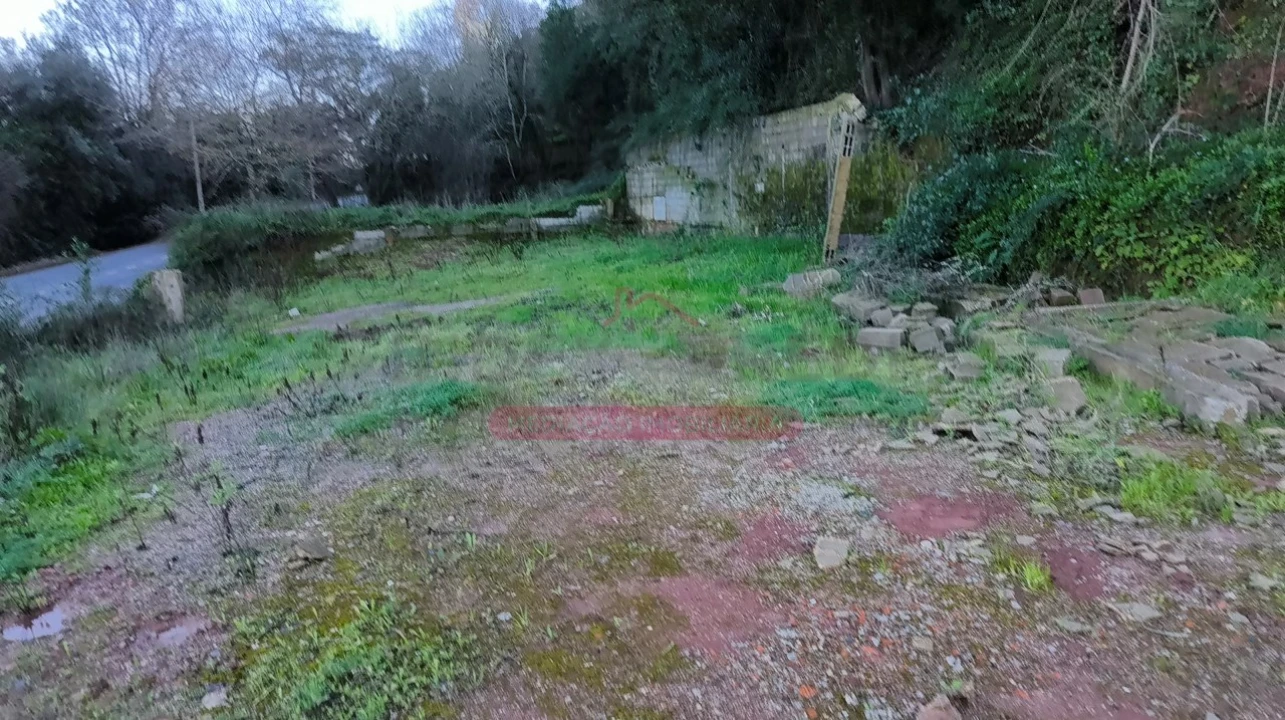 Terreno para Venda em Trofa, Segadães e Lamas do Vouga Foto 11