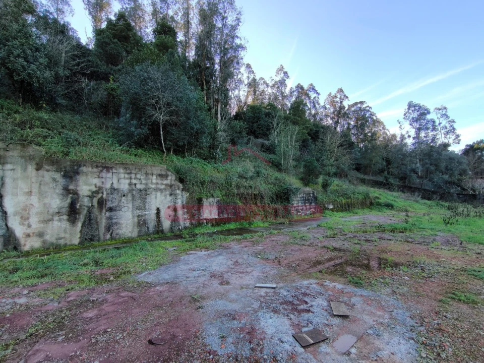 Terreno para Venda em Trofa, Segadães e Lamas do Vouga Foto 12