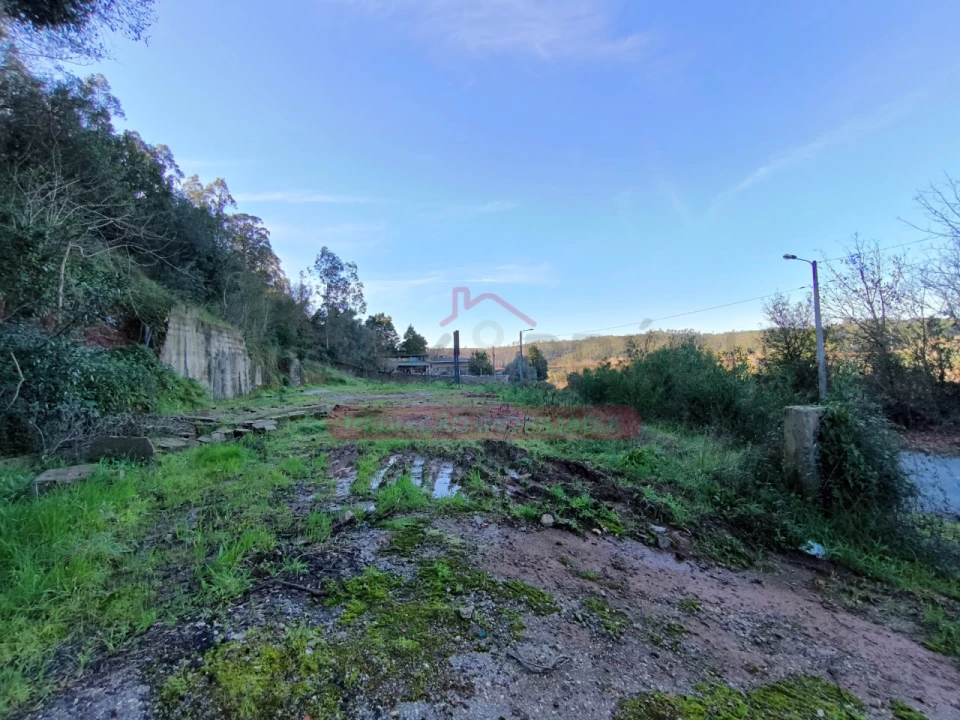 Terreno para Venda em Trofa, Segadães e Lamas do Vouga Foto 14