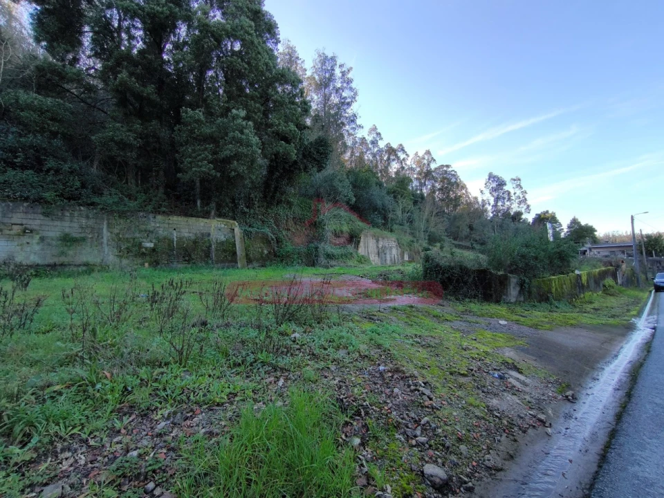 Terreno para Venda em Trofa, Segadães e Lamas do Vouga Foto 15