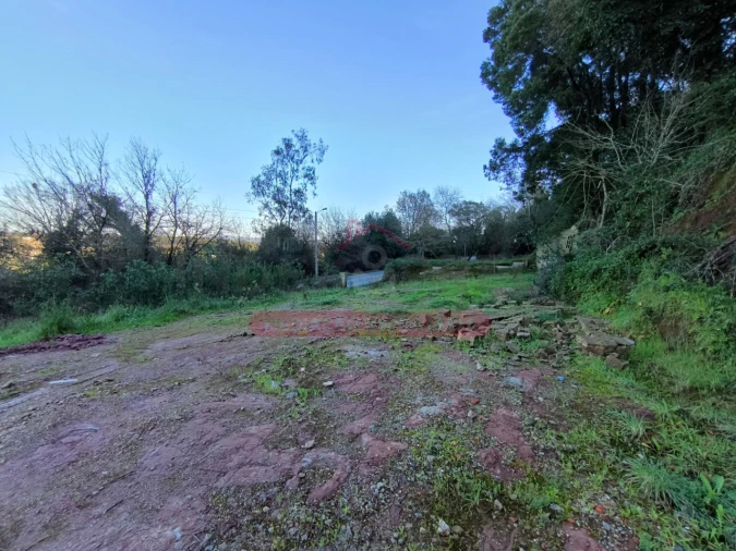 Terreno para Venda em Trofa, Segadães e Lamas do Vouga Foto 8