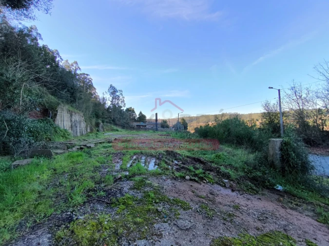 Terreno para Venda em Trofa, Segadães e Lamas do Vouga Foto 14
