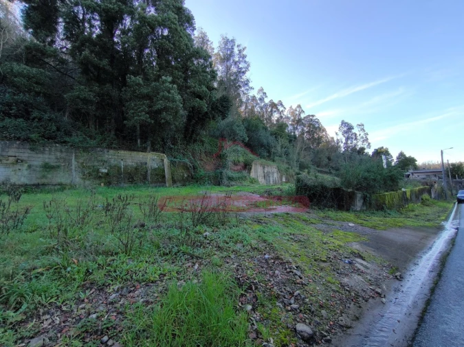 Terreno para Venda em Trofa, Segadães e Lamas do Vouga Foto 15
