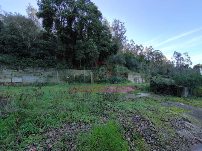 Terreno para Venda em Trofa, Segadães e Lamas do Vouga Foto 16