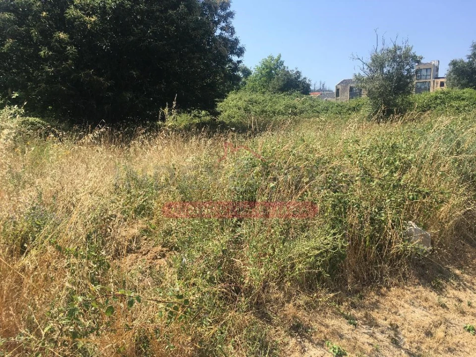 Terreno para Venda em São Pedro do Sul, Várzea e Baiões Foto 6