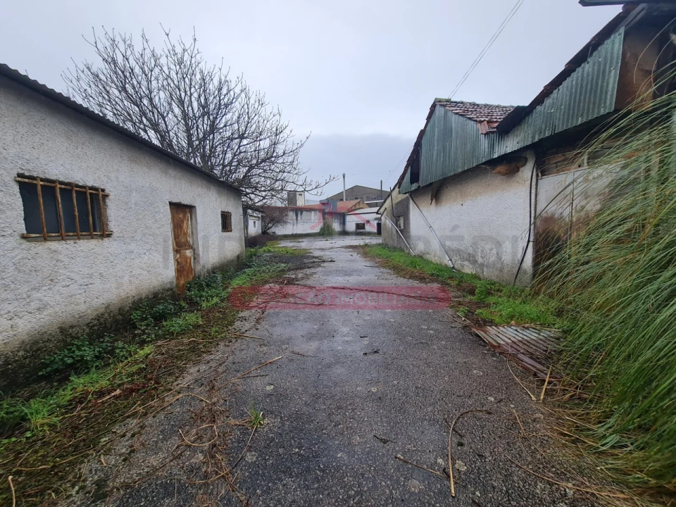 Armazém para Venda em Águeda e Borralha Foto 2