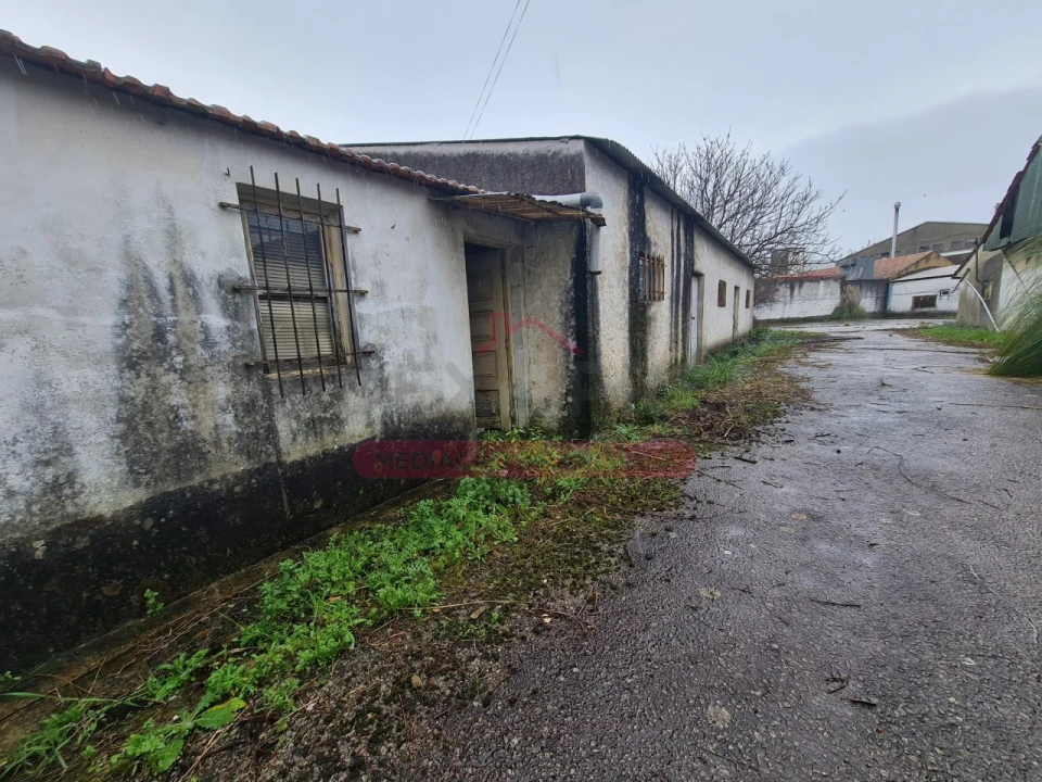 Armazém para Venda em Águeda e Borralha Foto 3