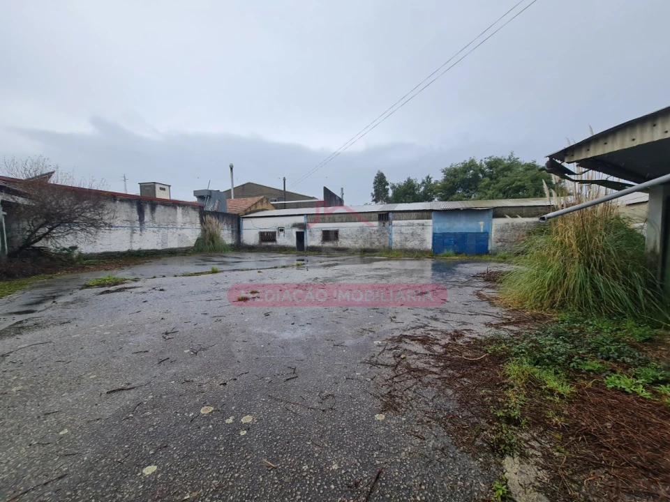 Armazém para Venda em Águeda e Borralha Foto 5