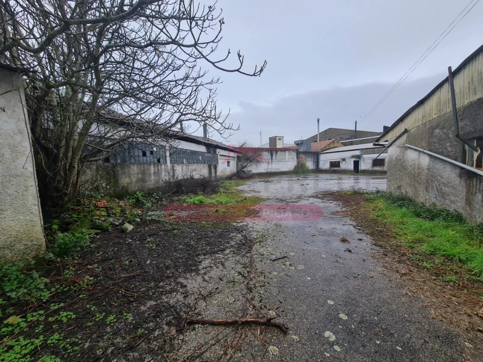 Armazém para Venda em Águeda e Borralha Foto 6