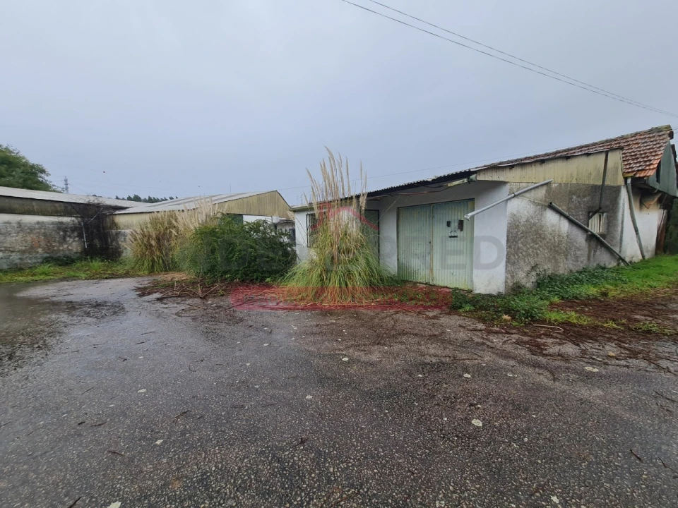 Armazém para Venda em Águeda e Borralha Foto 7
