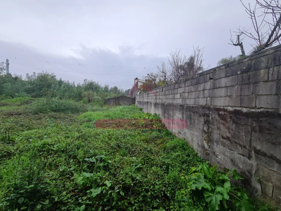 Armazém para Venda em Águeda e Borralha Foto 21