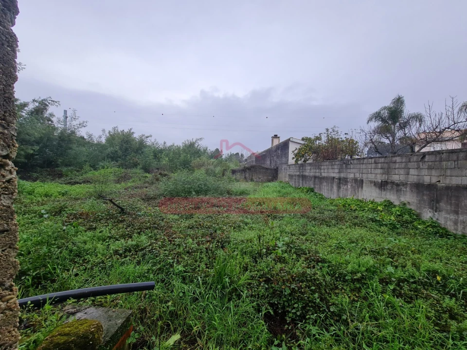 Armazém para Venda em Águeda e Borralha Foto 22