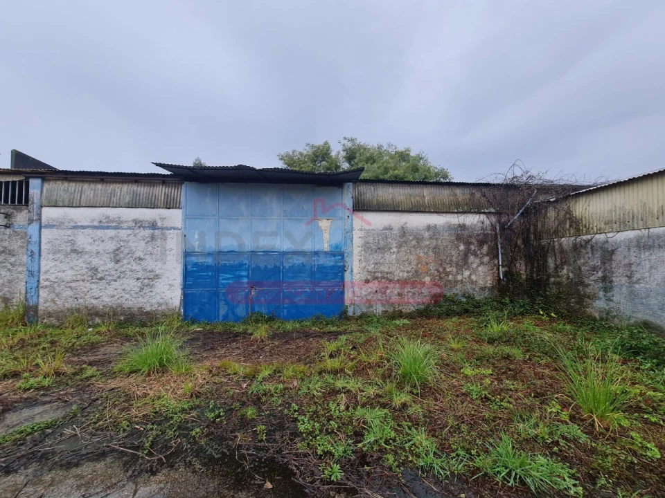 Armazém para Venda em Águeda e Borralha Foto 28
