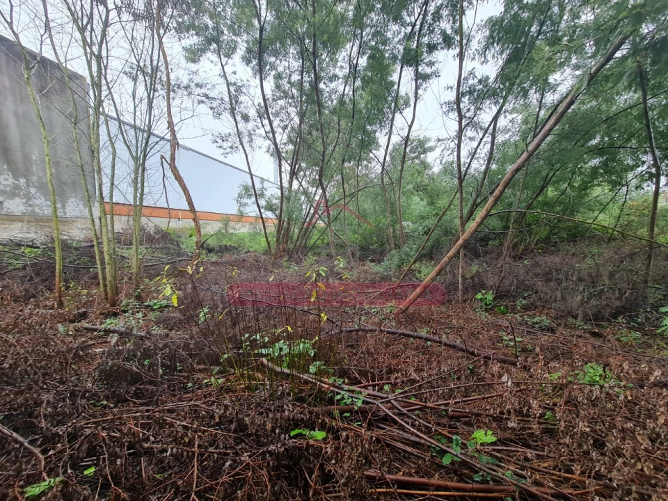 Armazém para Venda em Águeda e Borralha Foto 45