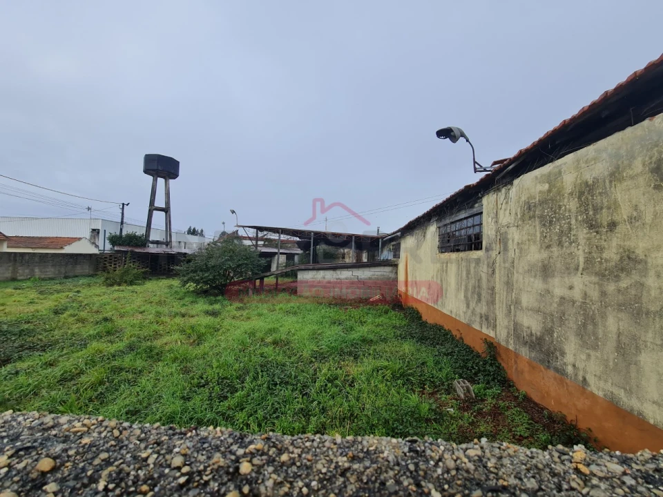 Armazém para Venda em Águeda e Borralha Foto 54