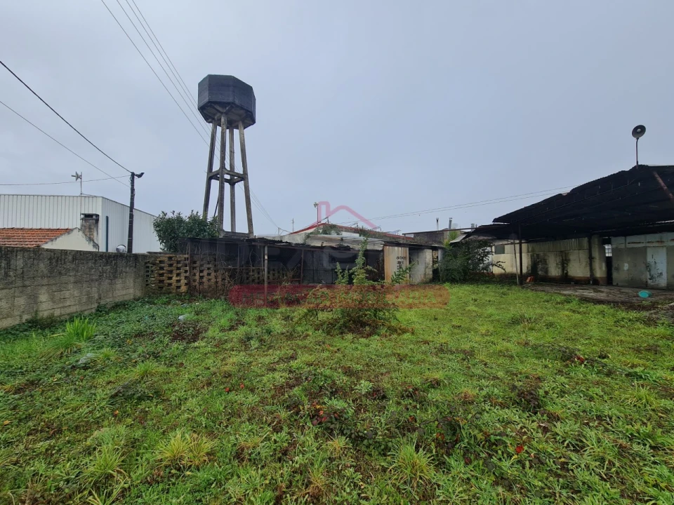 Armazém para Venda em Águeda e Borralha Foto 56