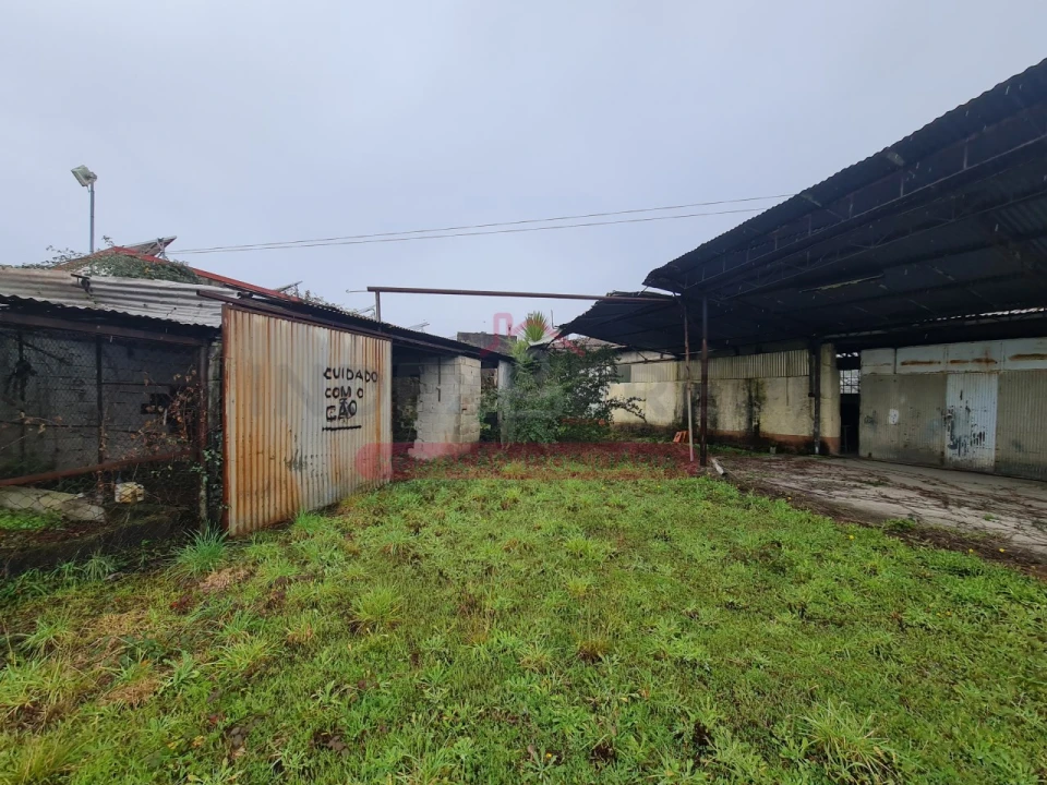 Armazém para Venda em Águeda e Borralha Foto 58