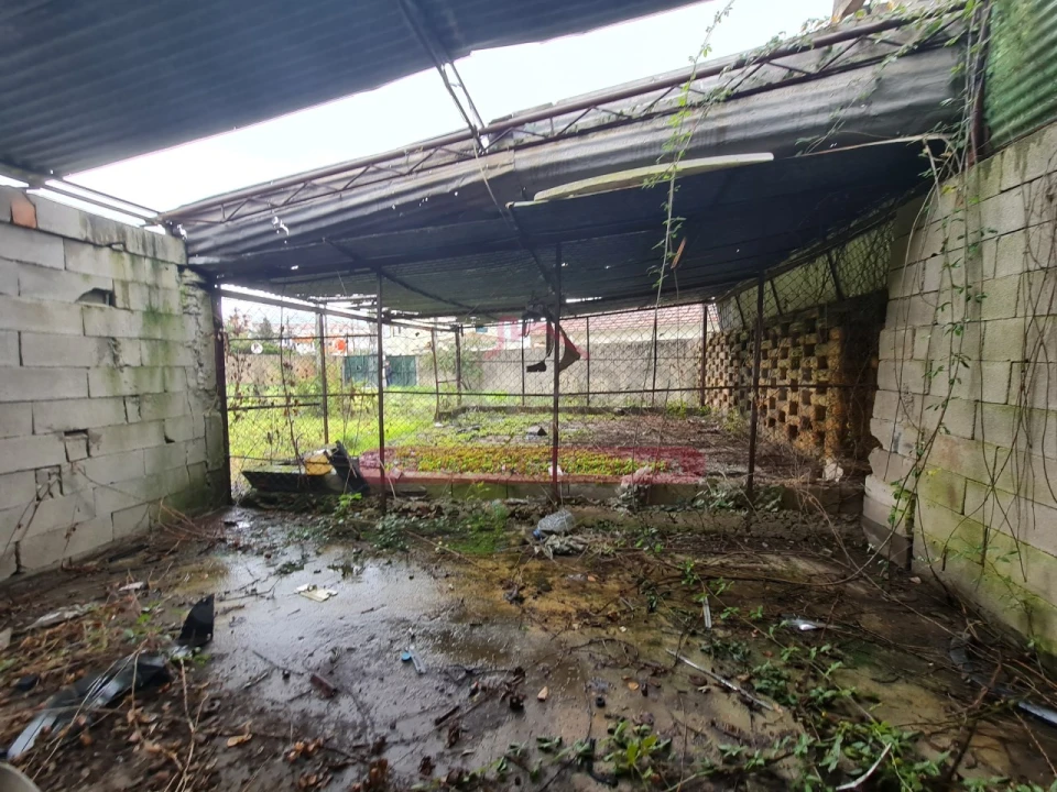 Armazém para Venda em Águeda e Borralha Foto 60