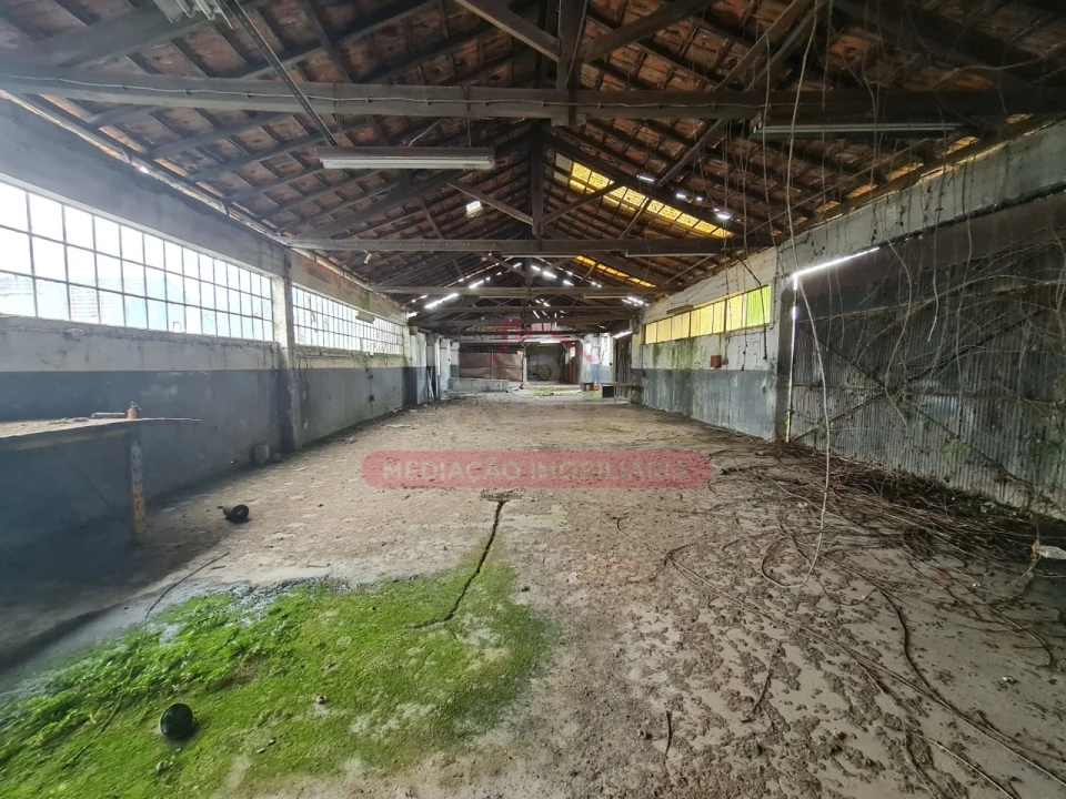 Armazém para Venda em Águeda e Borralha Foto 68
